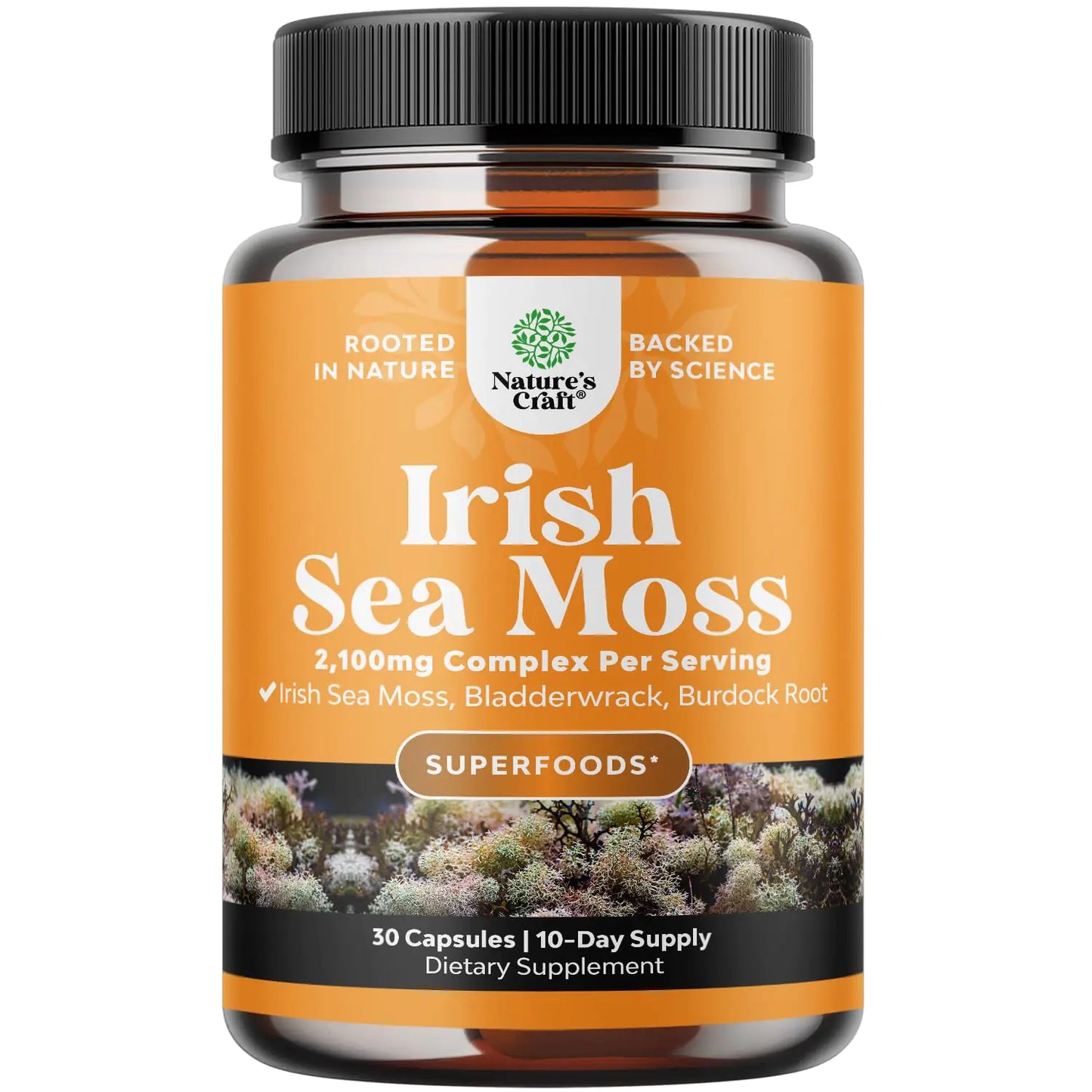 Organic Irish Sea Moss Capsules - Sea Moss and Bladderwrack - 30 Capsules